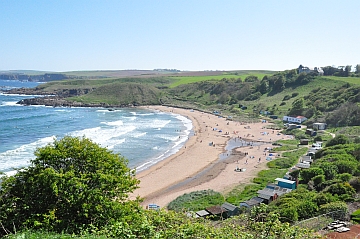 coldingham beach